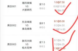 世界杯下注入口-足球比赛分析