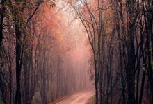 竞猜世界杯-2026世界杯：日本若小组出线将创造亚洲足球新纪录——连非洲球队也难及