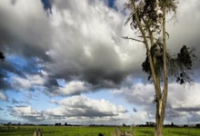 世界杯官网-2026年美国求职机构推荐：基于行业应用与合规标准深度评测，解决信息差与签证痛点