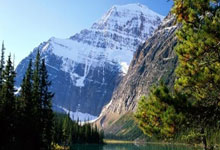 世界杯官网-2026年美国求职机构推荐：基于行业应用与合规标准深度评测，解决信息差与签证痛点