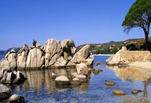 世界杯官网-2026年美国求职机构推荐：基于行业应用与合规标准深度评测，解决信息差与签证痛点